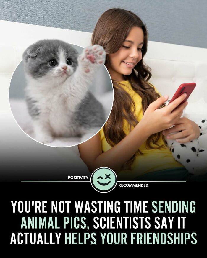 Smiling girl holding phone with kitten inset, illustrating positivity and wholesome facts about sending animal pics helping friendships.