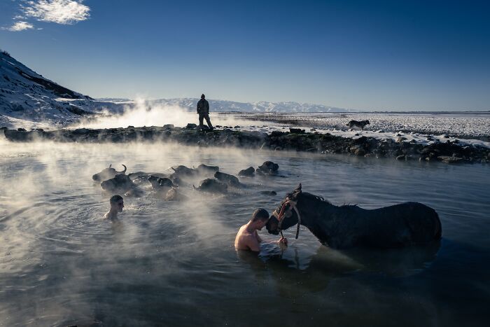 Steve Mccurry Juror Of All About Photo Awards 2026!