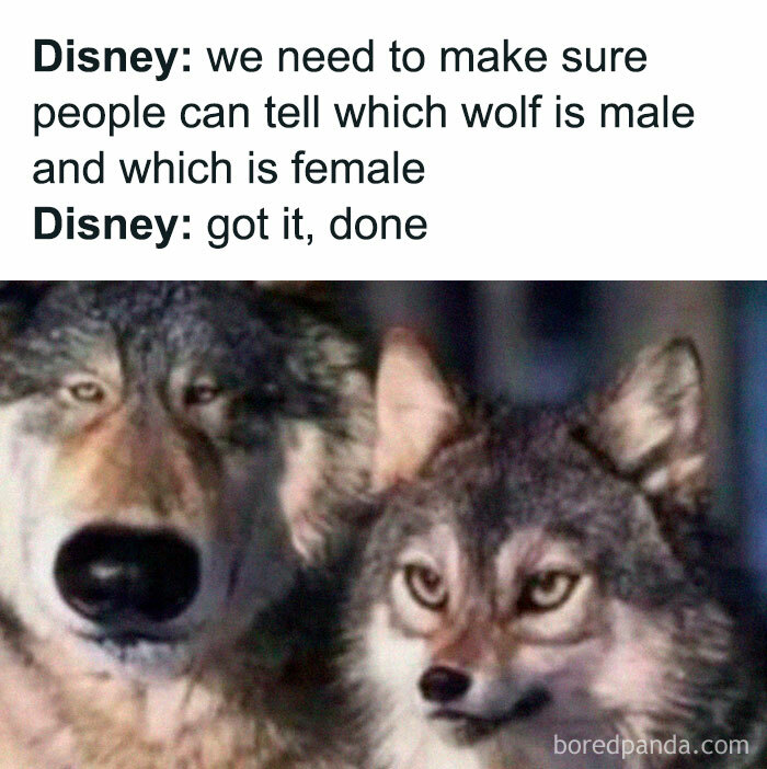Meme showing two wolves with exaggerated features, highlighting funny and random humor from popular meme collections.
