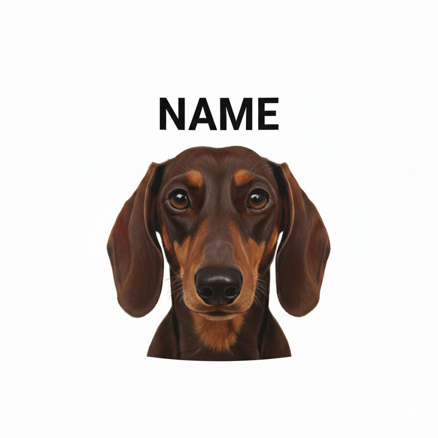 I Designed A Minimalist Australian Shepherd Mug With A Personalized Name