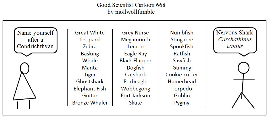 This Cartoonist Explores The Absurdly Thin Line Between Genius And Stupidity. An Interview With The Cartoonist. 11 Cartoons.