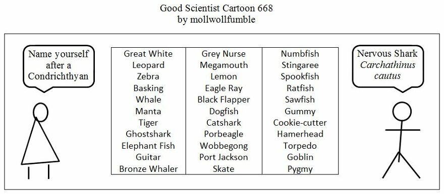 This Cartoonist Explores The Absurdly Thin Line Between Genius And Stupidity. An Interview With The Cartoonist. 11 Cartoons. This Cartoonist Explores The Absurdly Thin Line Between Genius And Stupidity. An Interview With The Cartoonist. 11 Cartoons.