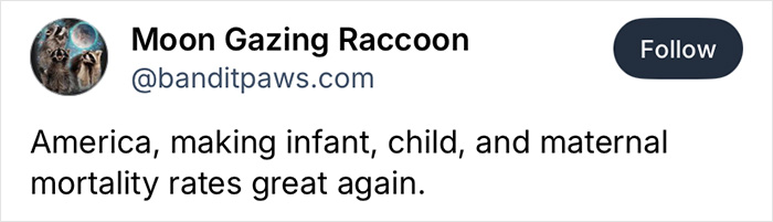 Tweet from user Moon Gazing Raccoon criticizing rising infant and maternal mortality rates in America with a dark humor tone. Tweet from user Moon Gazing Raccoon criticizing rising infant and maternal mortality rates in America with a dark humor tone.
