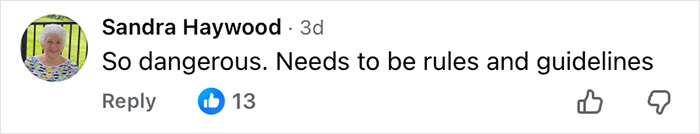 Facebook comment by Sandra Haywood expressing concern about danger and calling for rules and guidelines. Facebook comment by Sandra Haywood expressing concern about danger and calling for rules and guidelines.