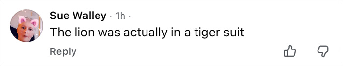 Comment on Wizard Of Oz performance outrage, stating the lion was actually in a tiger suit, posted by Sue Walley.