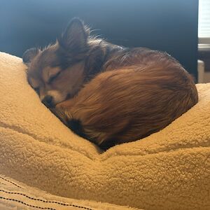 constancekridiotis avatar