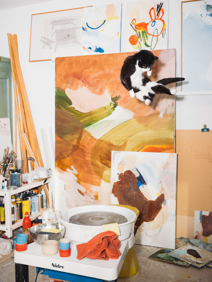 Jumping Cats By Koekkoek