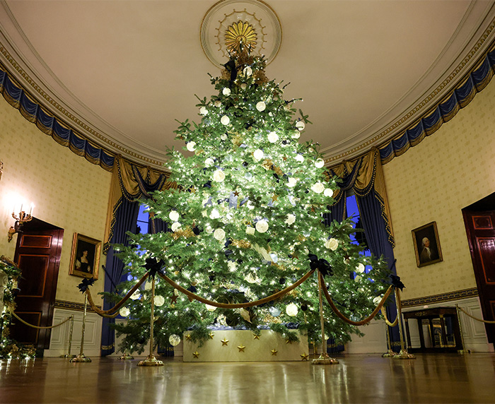 Ornate Christmas tree decorated with white lights and ornaments, linked to Melania Trump's new Christmas ornament controversy. Ornate Christmas tree decorated with white lights and ornaments, linked to Melania Trump's new Christmas ornament controversy.