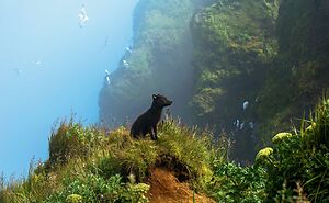 The Most Powerful Winning Photos From The 2025 National Wildlife Photo Contest (22 Pics)