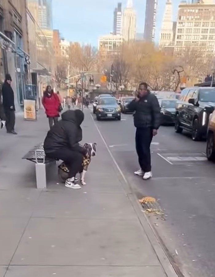 Man in black hooded jacket holding pit bull on busy Manhattan sidewalk with cars and pedestrians nearby. Man in black hooded jacket holding pit bull on busy Manhattan sidewalk with cars and pedestrians nearby.