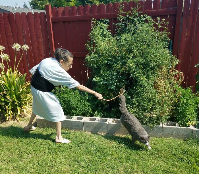 Elderly woman playing with a cat in the garden, capturing a funny and interesting pic taken at the perfect time.