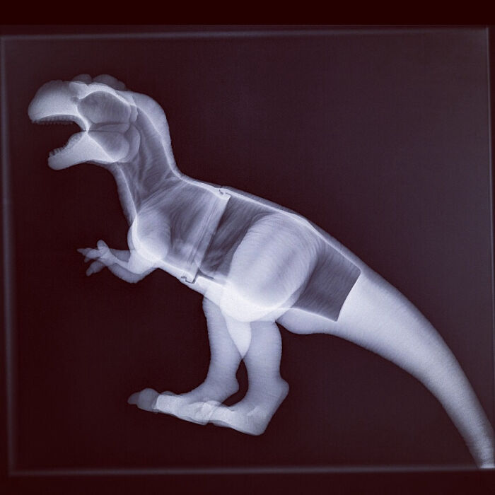 X-ray image of a dinosaur model showing internal structure, highlighting fascinating jobs that make a 9-to-5 more bearable