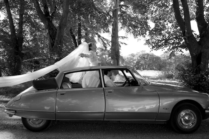 Image By Sasha Dove Taken In Bordeaux, France