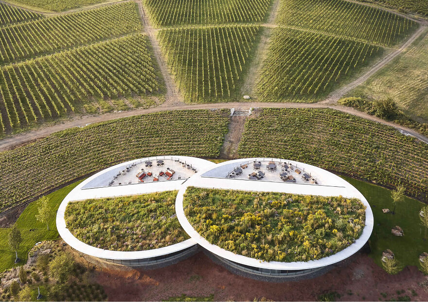 Sauska Tokaj By Bord Architectural Studio, Amp 2025 Best Of Best Winner In Agricultural Buildings (Photo_ Hufton+crow)