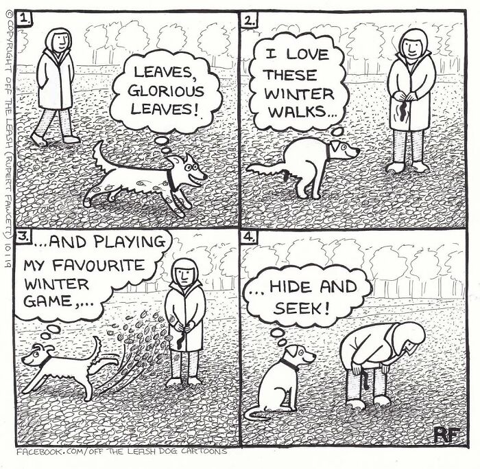 Comic strip showing a dog enjoying leaves, winter walks, and playing hide and seek, depicting life living with dogs.