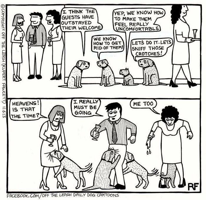 Comic strip showing dogs interacting humorously with guests, illustrating the challenges of living with dogs in daily life.