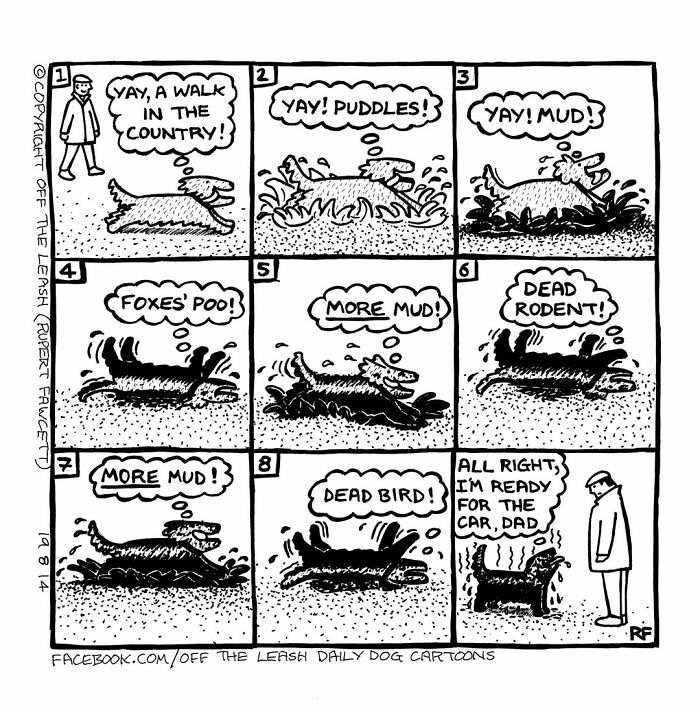 Comic strip showing a dog excitedly enjoying mud, puddles, and dead animals, illustrating living with dogs humor.