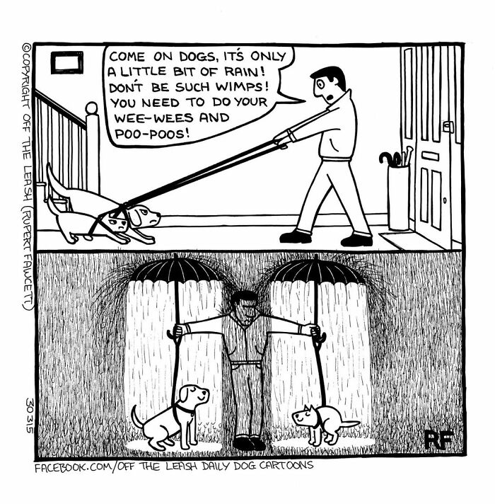 A comic showing the challenges of living with dogs during rainy walks with umbrellas shielding them from rain.