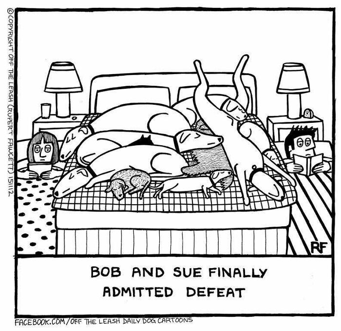 Cartoon showing a bed crowded with dogs while owners read, illustrating living with dogs in humorous comic style.