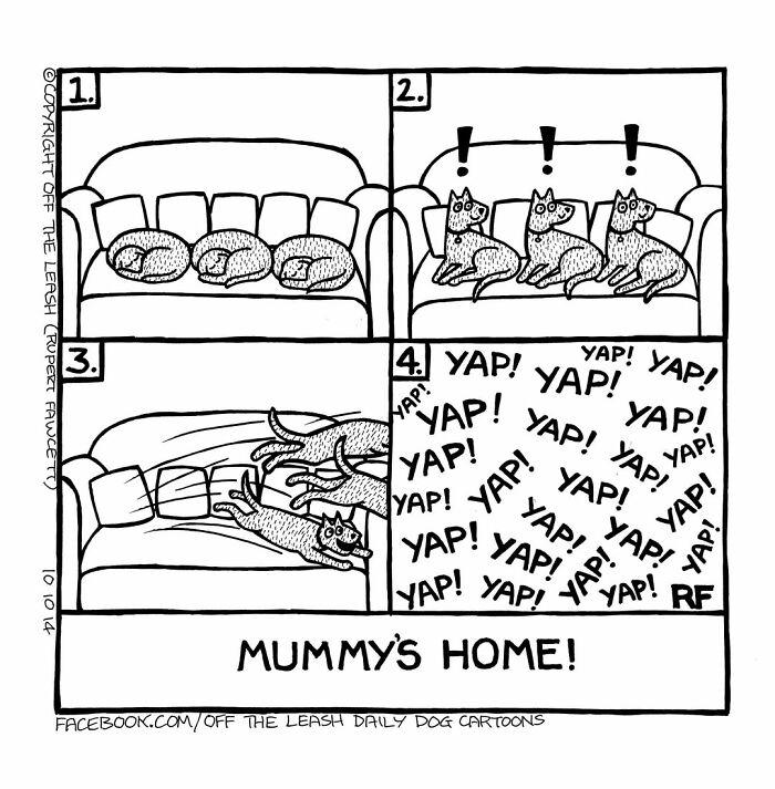 Comic illustrating living with dogs showing three sleeping dogs waking up and excitedly barking when their owner arrives home.