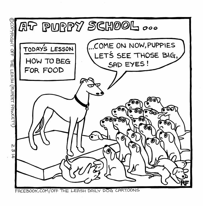 Comic scene showing a dog teaching puppies at school how to beg for food, portraying life living with dogs humorously.