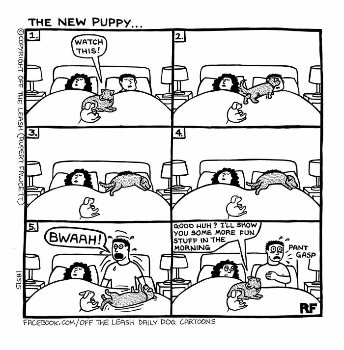 Comic panels showing living with dogs featuring a playful puppy causing chaos in a bedroom setting.