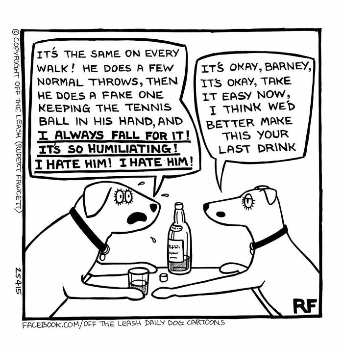 Two dogs at a table with drinks discuss frustration and humor in everyday life living with dogs comics.