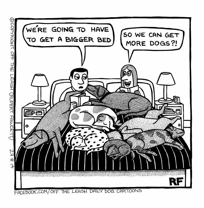 Couple in bed surrounded by multiple dogs, highlighting the humor of living with dogs in a comic style.