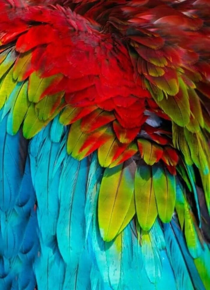 “I Don’t Have Helicopters Or Expensive Expeditions — But I Still Capture Wildlife Moments That Travel The World”