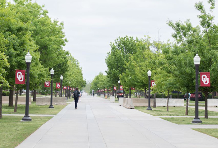 University walkway lined with trees and banners, student walking, related to essay that got trans instructor removed from university University walkway lined with trees and banners, student walking, related to essay that got trans instructor removed from university