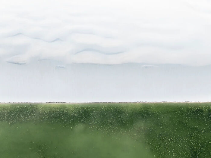 Aerial view of green landscape under a cloudy sky showcasing best nature photography of 2025 winners.