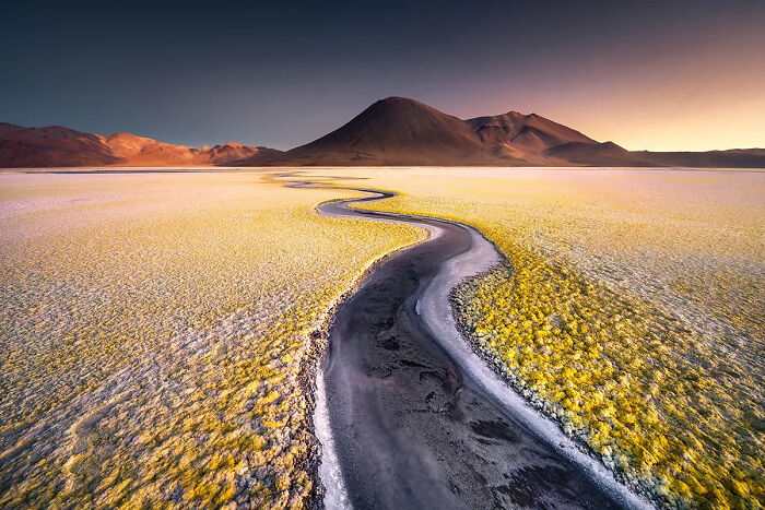 Winding river cutting through vibrant yellow terrain with mountains in the background in nature photography 2025.
