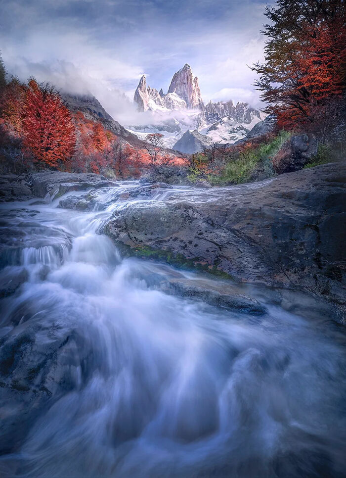 Flowing mountain river surrounded by autumn trees and rocky peaks in the best nature photography of 2025.