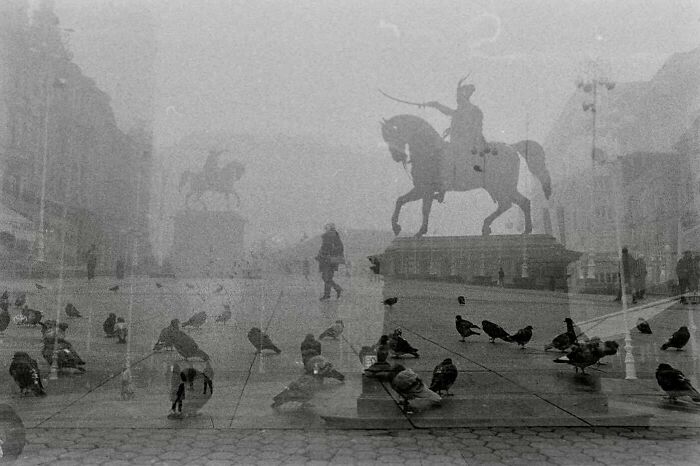 Foggy street scene with statues and pigeons, capturing the marvels of daily life and magical street moments.