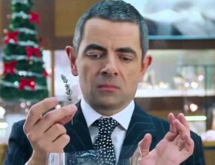 Man in a suit examining a small plant, related to Timothée Chalamet being mocked for Love Actually misread reactions. Man in a suit examining a small plant, related to Timothée Chalamet being mocked for Love Actually misread reactions.