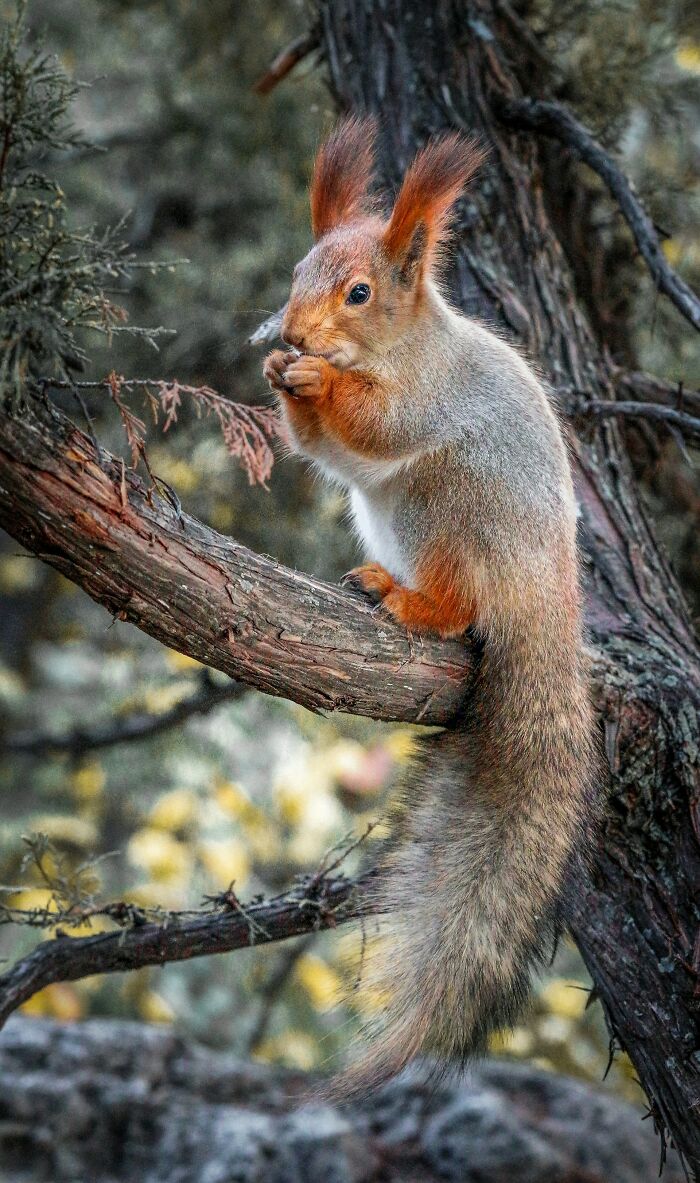 The ER Is For Real Emergencies, But These 46 Doctors And Nurses Reveal What Kind Of People Don’t Realize This