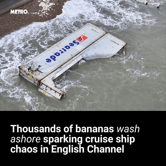 Wreckage and chaos in English Channel as thousands of bananas wash ashore in local newspaper headlines