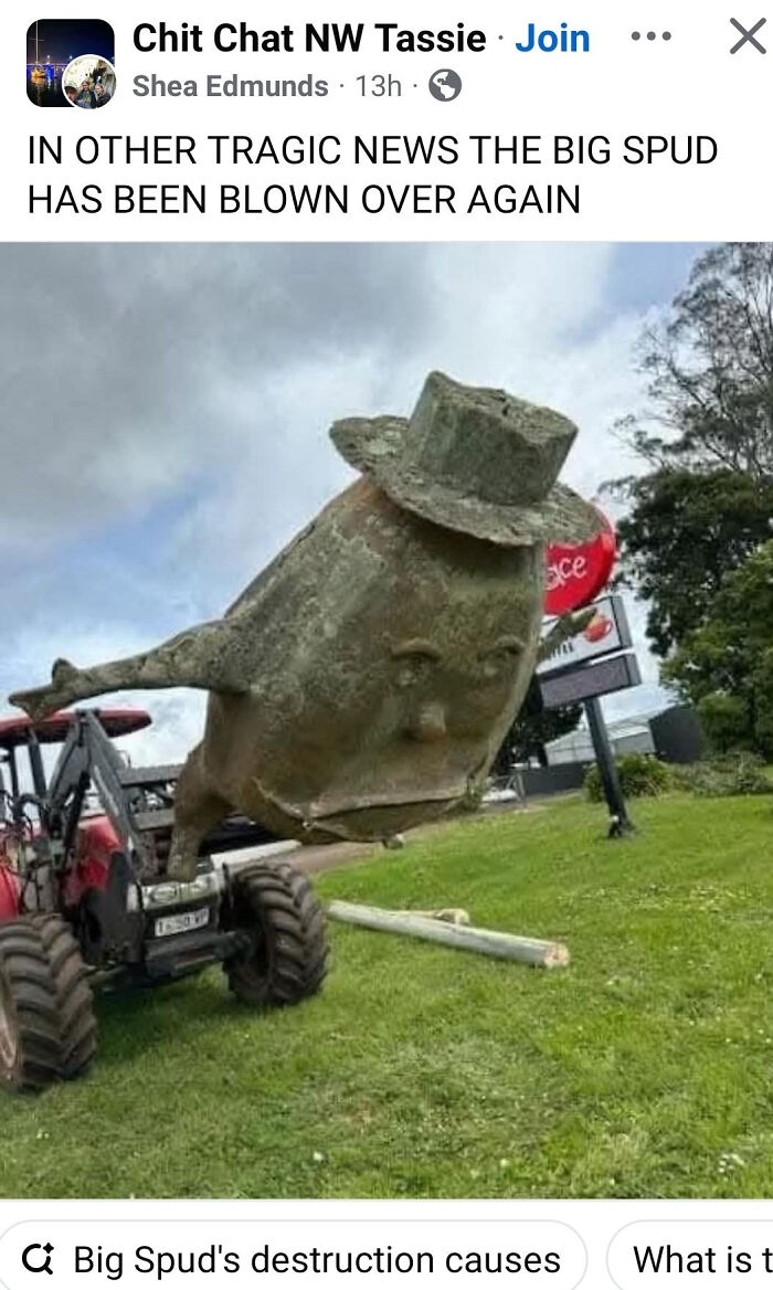 Sculpture of a large spud with a hat being lifted by tractor, illustrating local newspaper titles showing the world going mad.