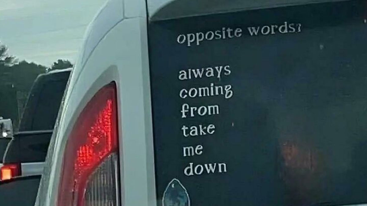 Van window showing a joke about opposite words that is so horrible it deserves an angry upvote reaction.