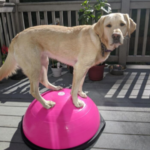 16 Apartment Friendly Ways To Smash Your Fitness Goals In 2026