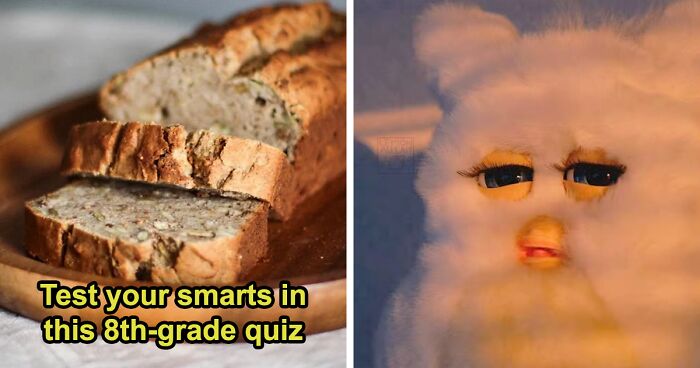 From Math To Science: 32 Questions To See If You Can Beat The Average 8th-Grade Student