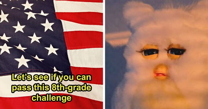 From Math To Science: 32 Questions To See If You Can Beat The Average 8th-Grade Student