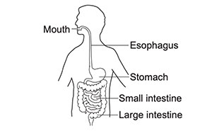 Answer All 32 Questions Right To Prove You’re Smarter Than An 8th-Grader