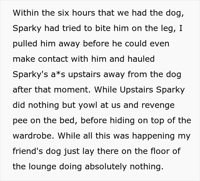 Text describing conflict between old cat Sparky and a dog, highlighting issues with introducing a dog to the cat's environment. Text describing conflict between old cat Sparky and a dog, highlighting issues with introducing a dog to the cat's environment.