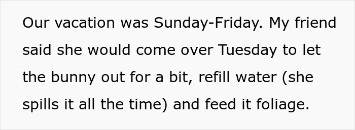 Text showing a friend agreeing to care for a bunny by letting it out, refilling water, and feeding foliage during a vacation. Text showing a friend agreeing to care for a bunny by letting it out, refilling water, and feeding foliage during a vacation.