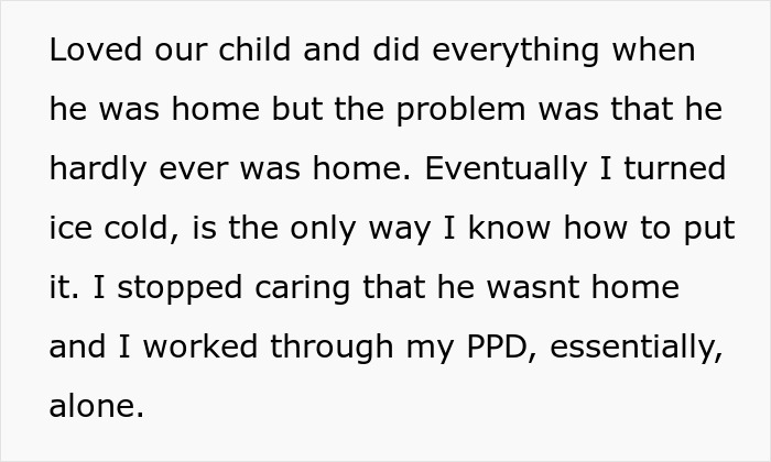 Text excerpt from stay-at-home-mom describing feeling alone and managing postpartum depression while partner is rarely home.