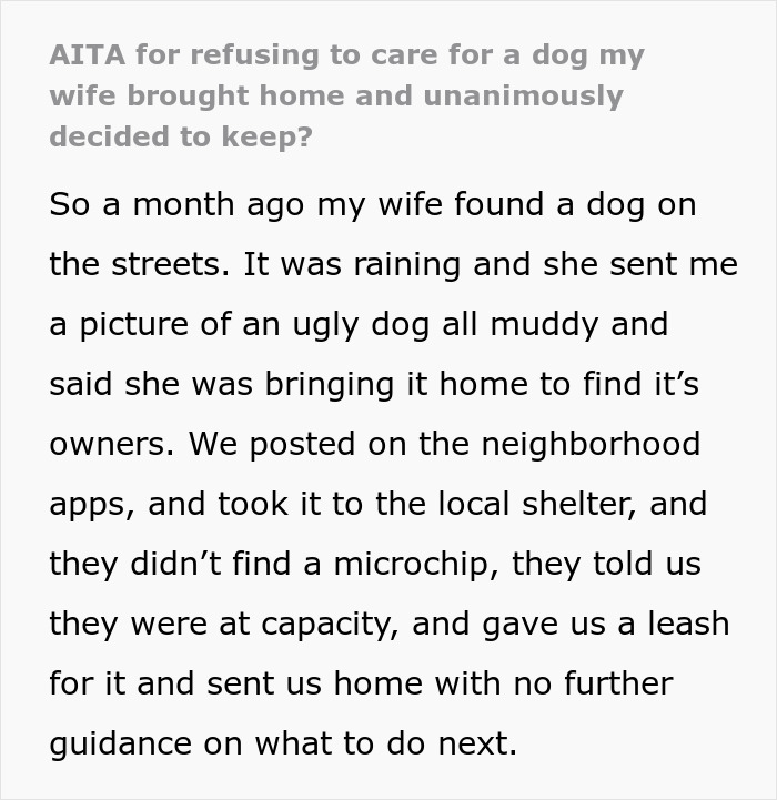 Text excerpt describing a dog-care home drama where a stray dog was found, taken to a shelter, and left with no further guidance.