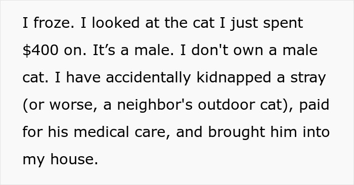 Person describing accidentally stealing the wrong cat, paying expensive medical bills, and bringing it into their home. Person describing accidentally stealing the wrong cat, paying expensive medical bills, and bringing it into their home.