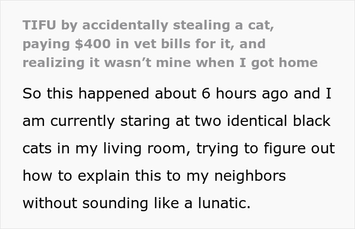 Person confusedly staring at two identical black cats, illustrating accidentally stealing wrong cat and paying vet bills scenario. Person confusedly staring at two identical black cats, illustrating accidentally stealing wrong cat and paying vet bills scenario.