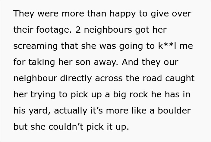 Text excerpt from a story about a woman seeking a restraining order against her mother-in-law after years of conflict.